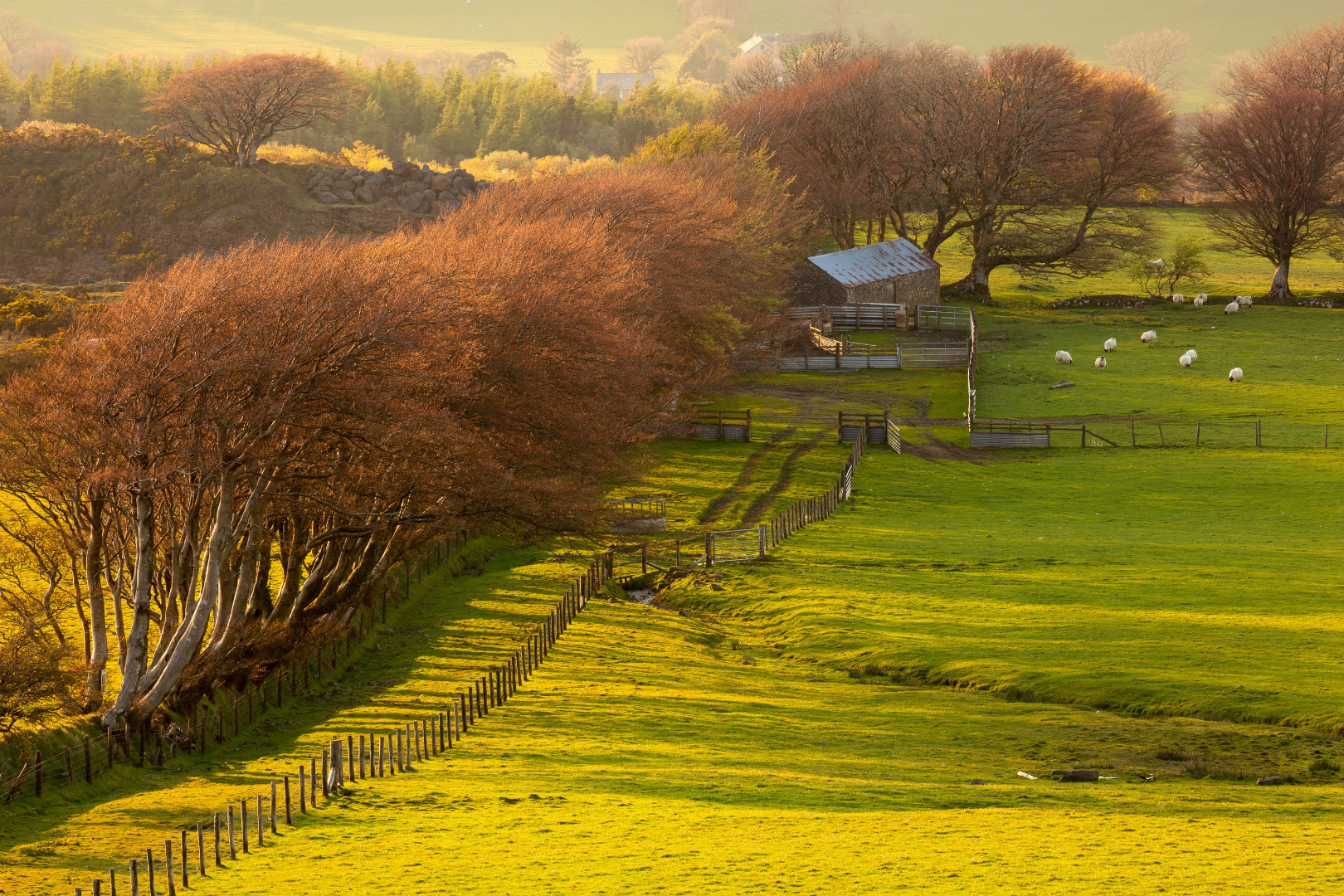 Farm scenes