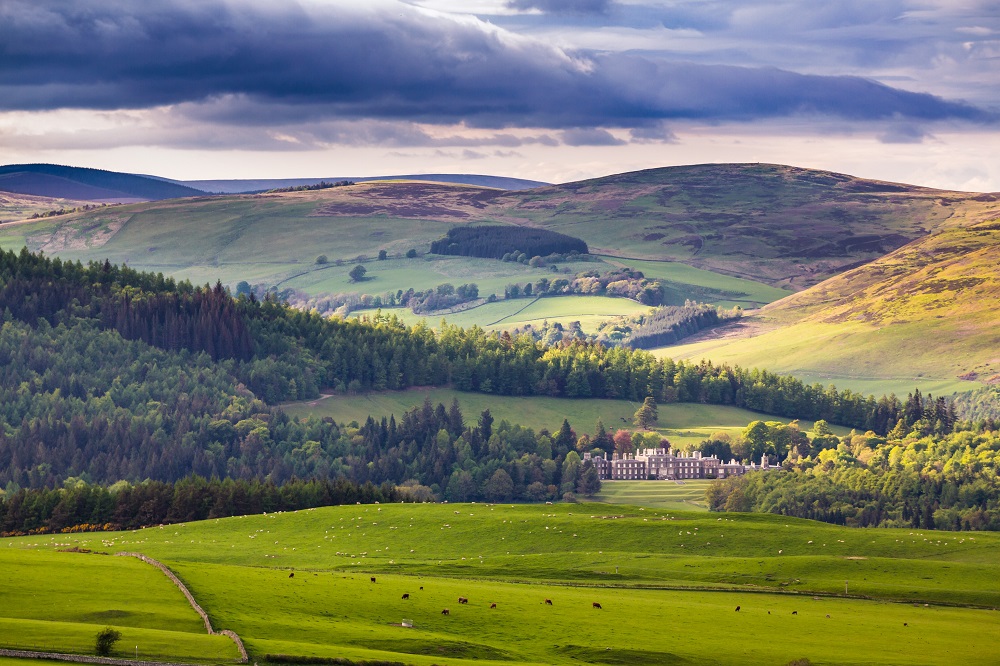 Bowhill 2013 265 web size.jpg