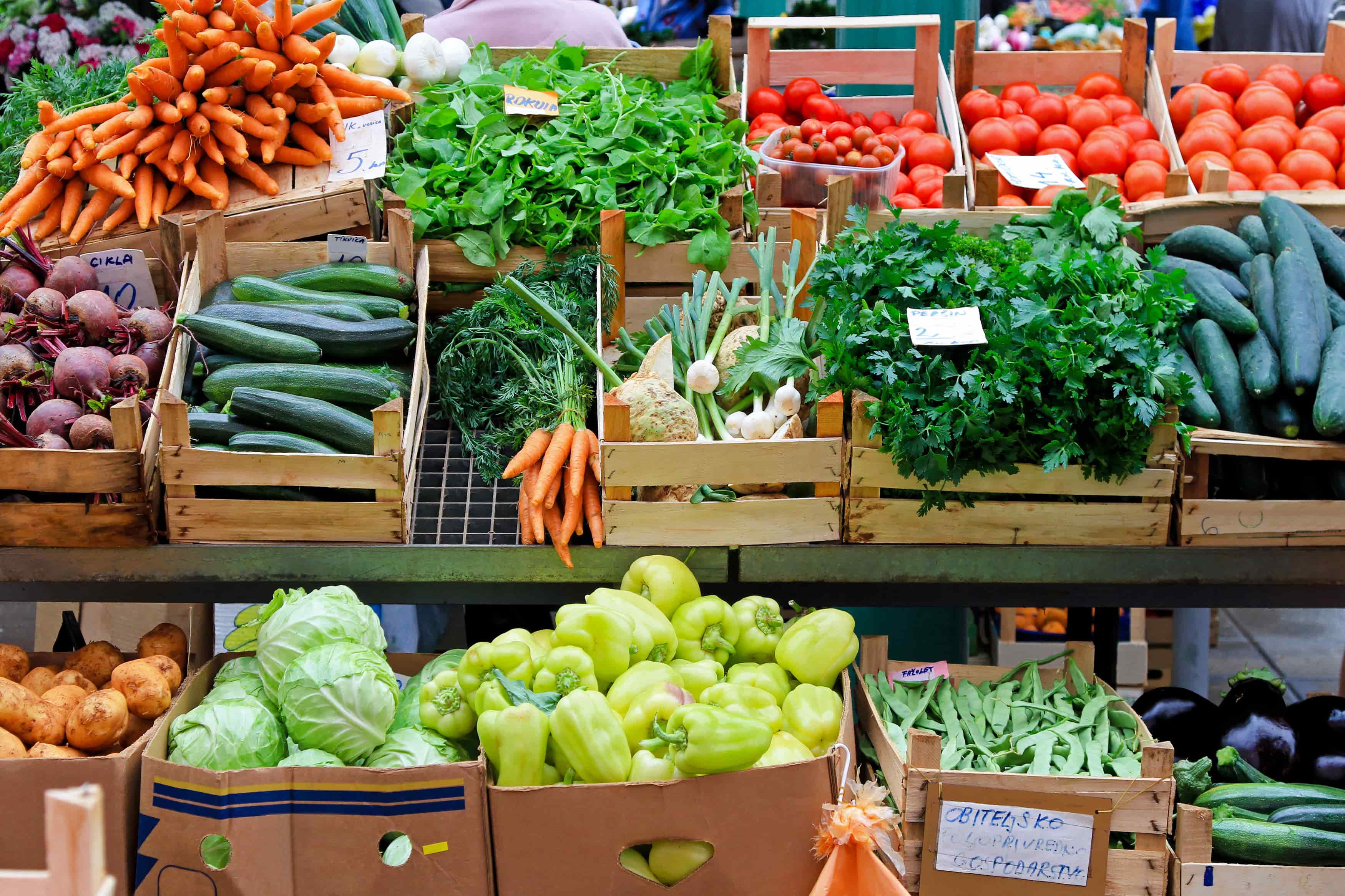 Power needs to change hands to protect UK food supplies from climate change and war (2)