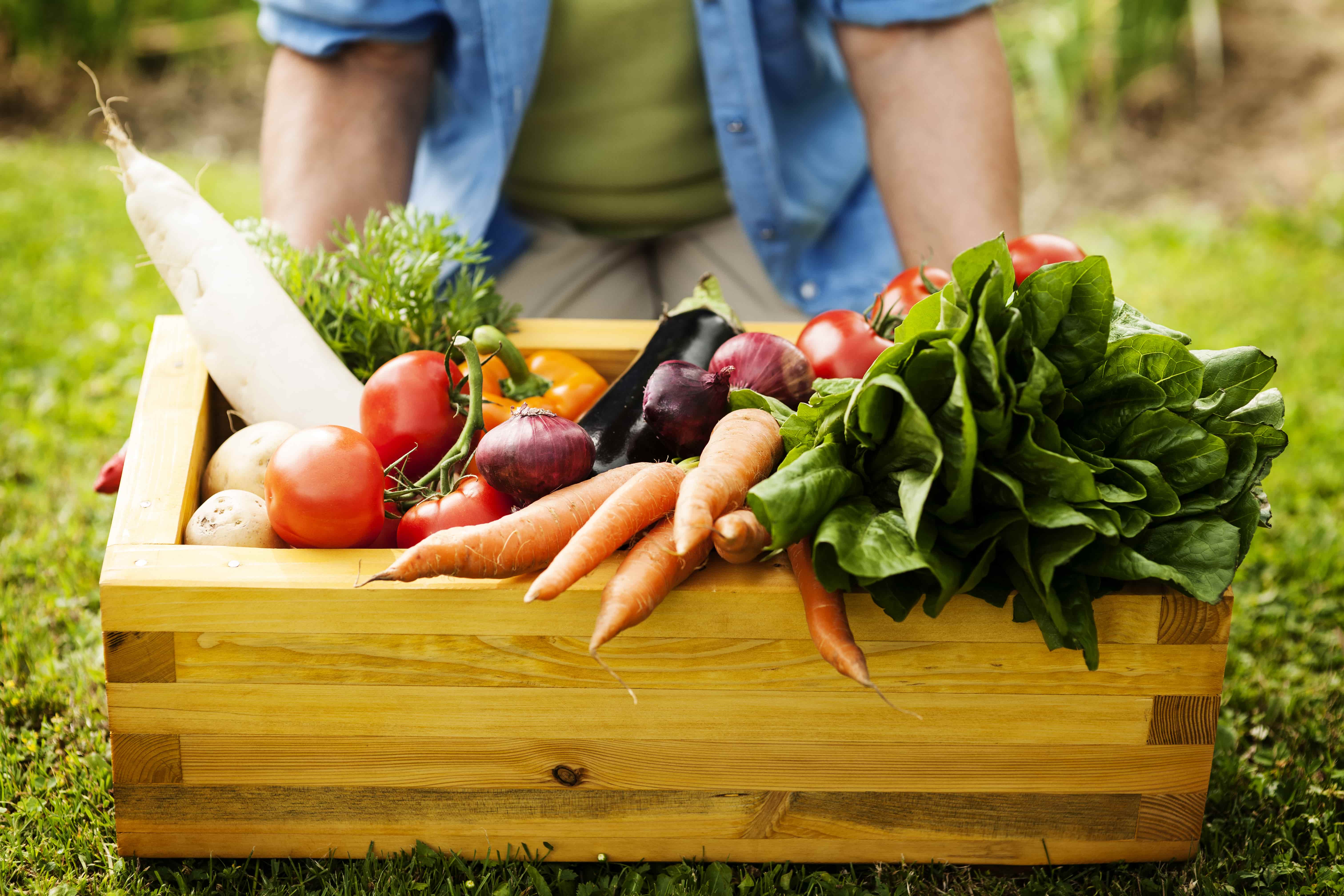 UK food security drops: radical action on nature-friendly farming needed (1)