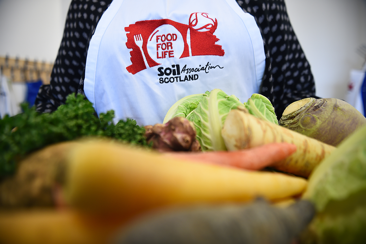 Soil Association publishes refreshed bronze standards (2)