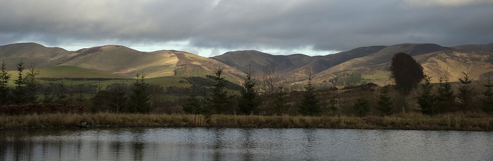 Integrating forestry and farming