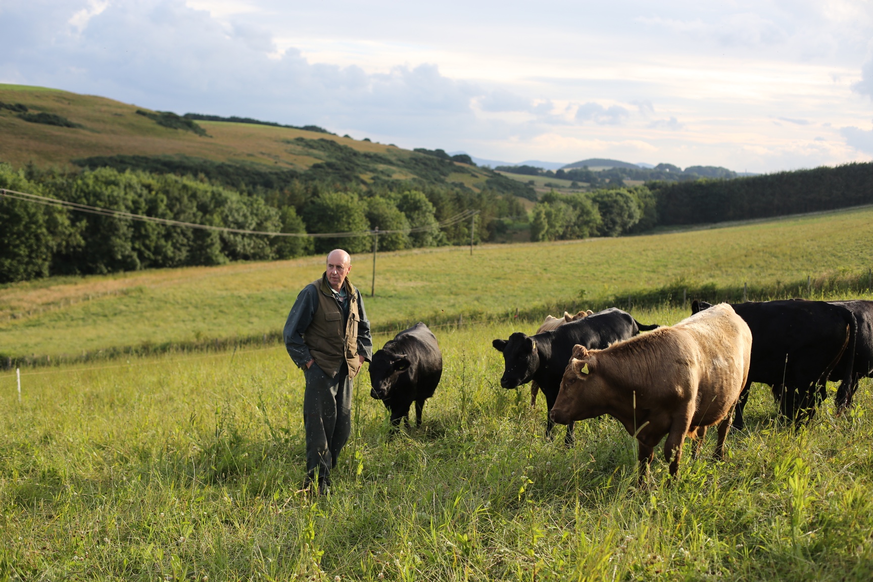 RobertCampbell_WesterLogieFarm_July2019_72dpi.JPG