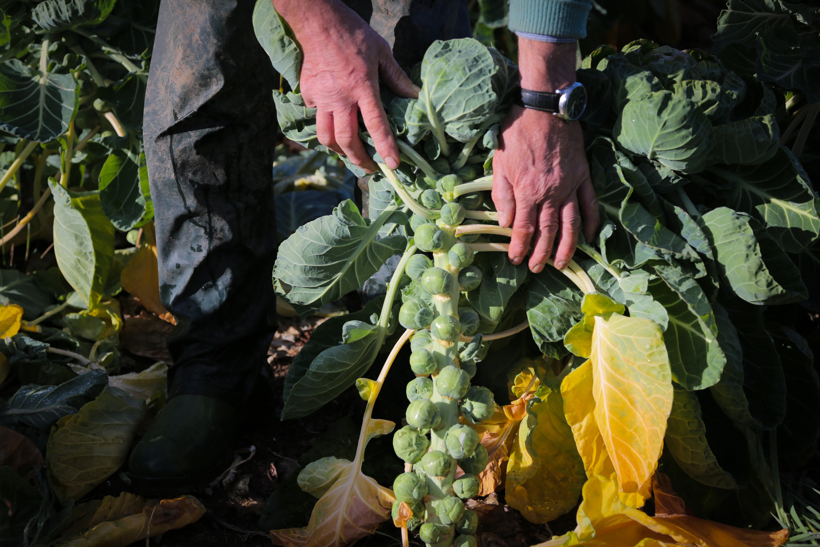 Achnagairn Farm 1.jpg