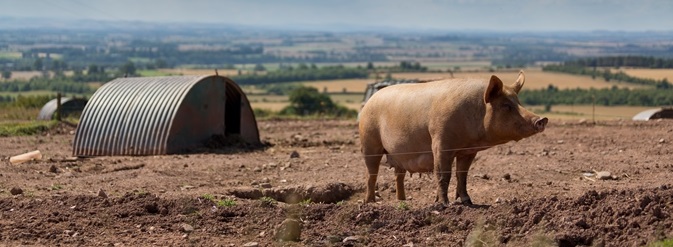 Farming for wildlife and biodiversity