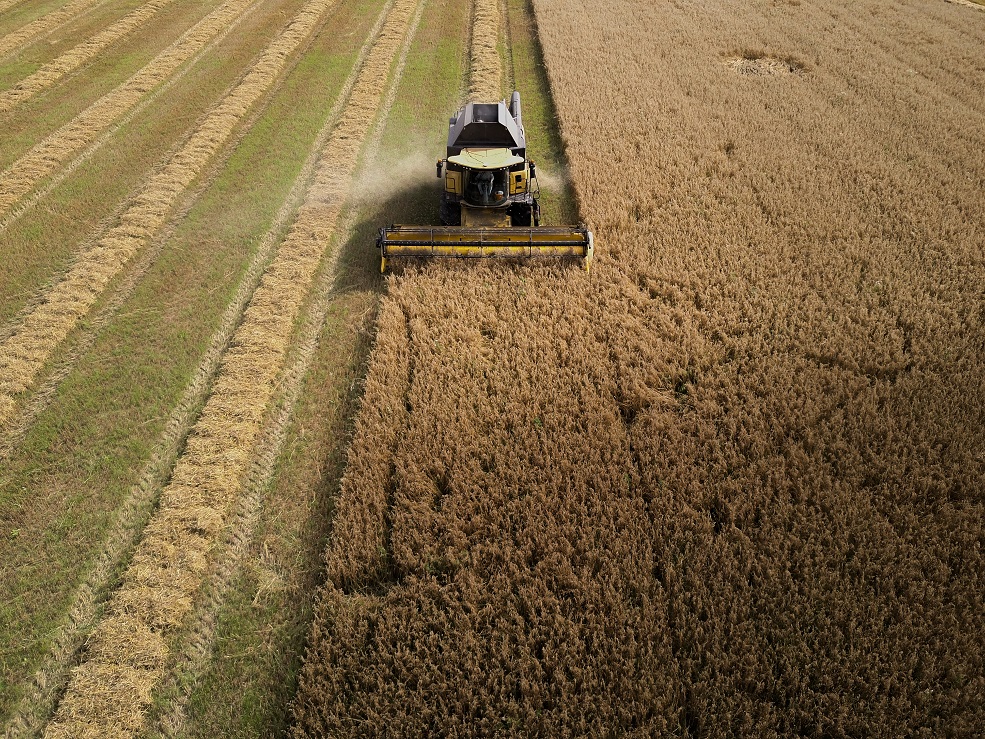 Organic Arable Image.jpg