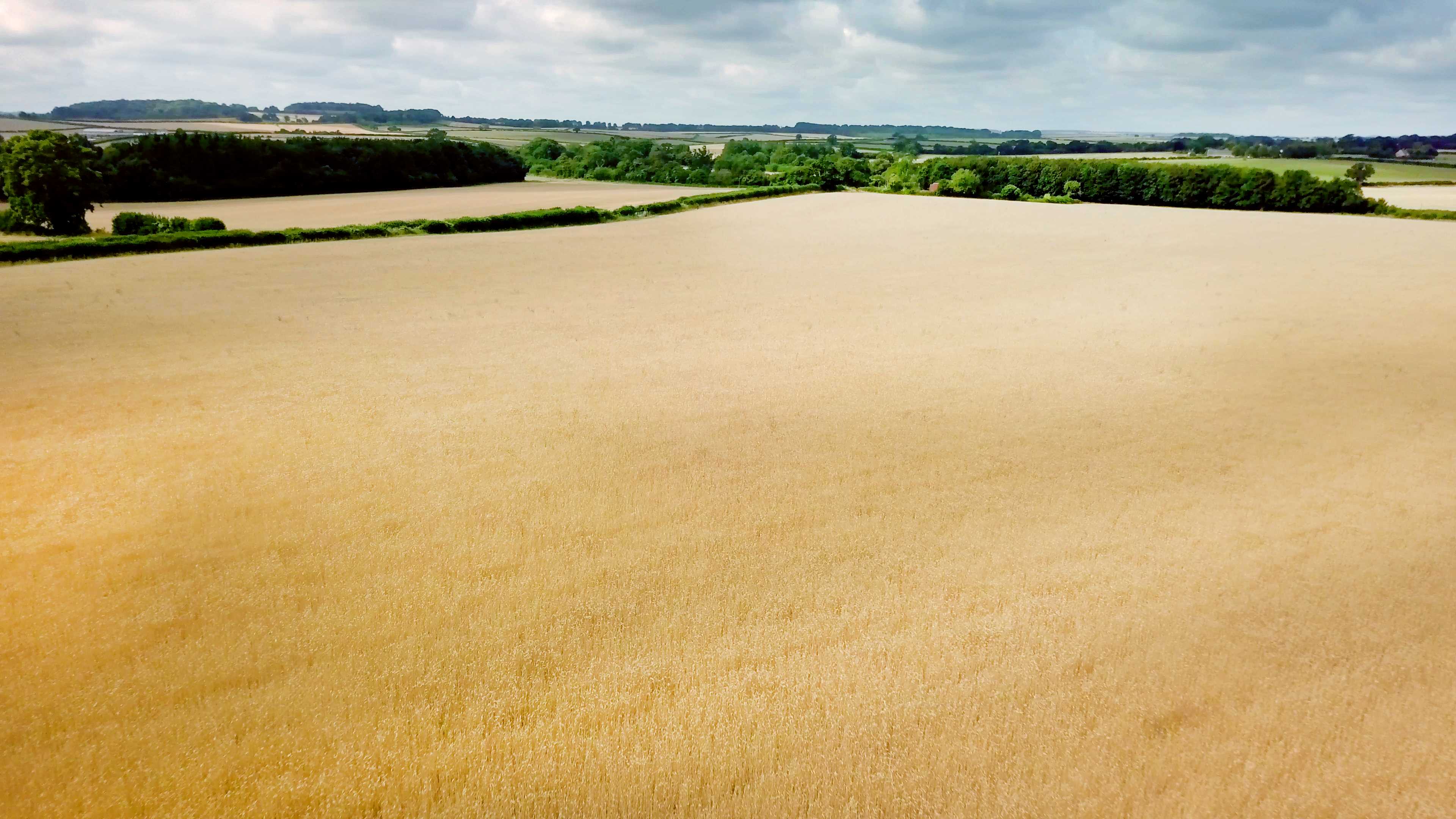 Preparing your farm for organic conversion