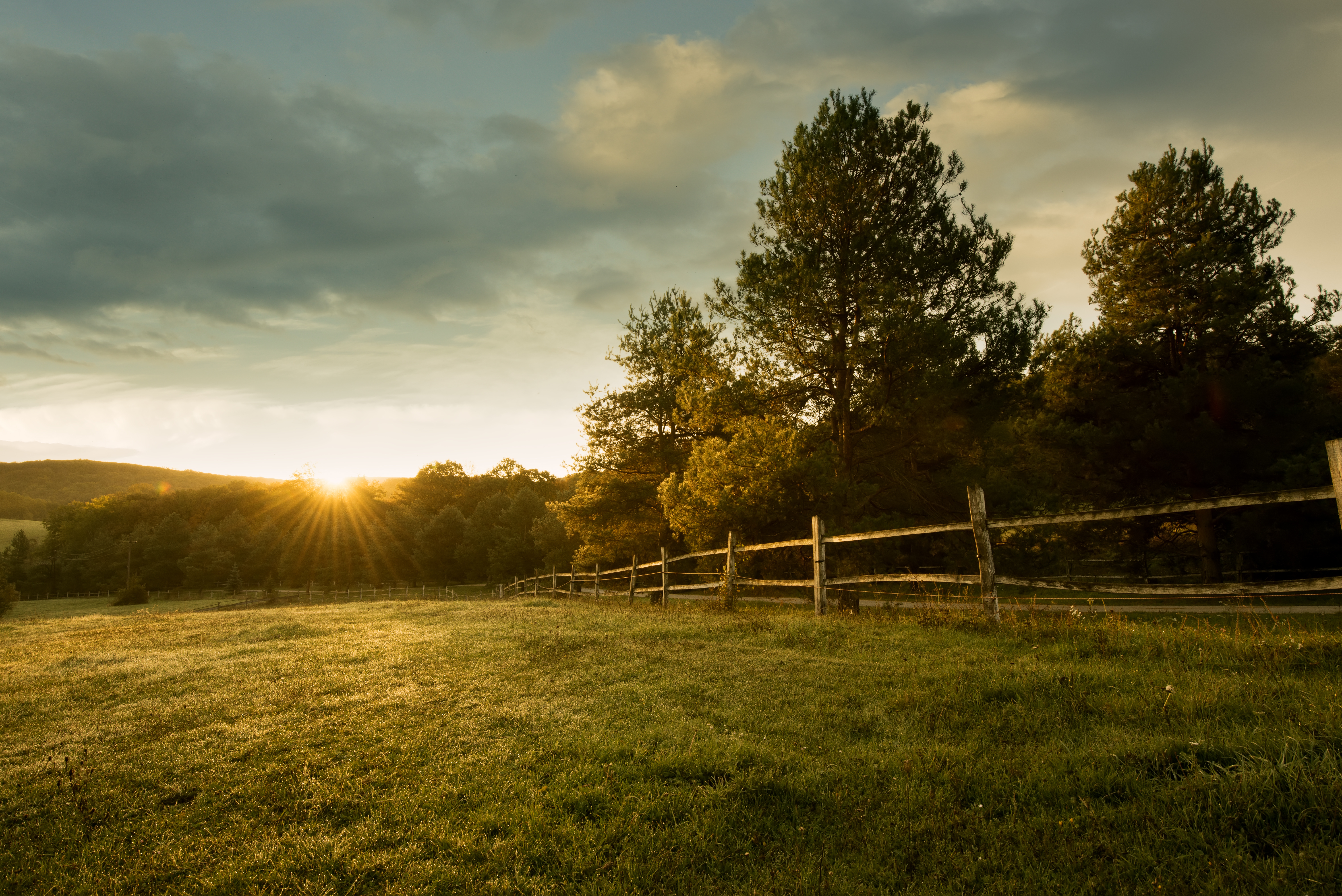 Farm scene