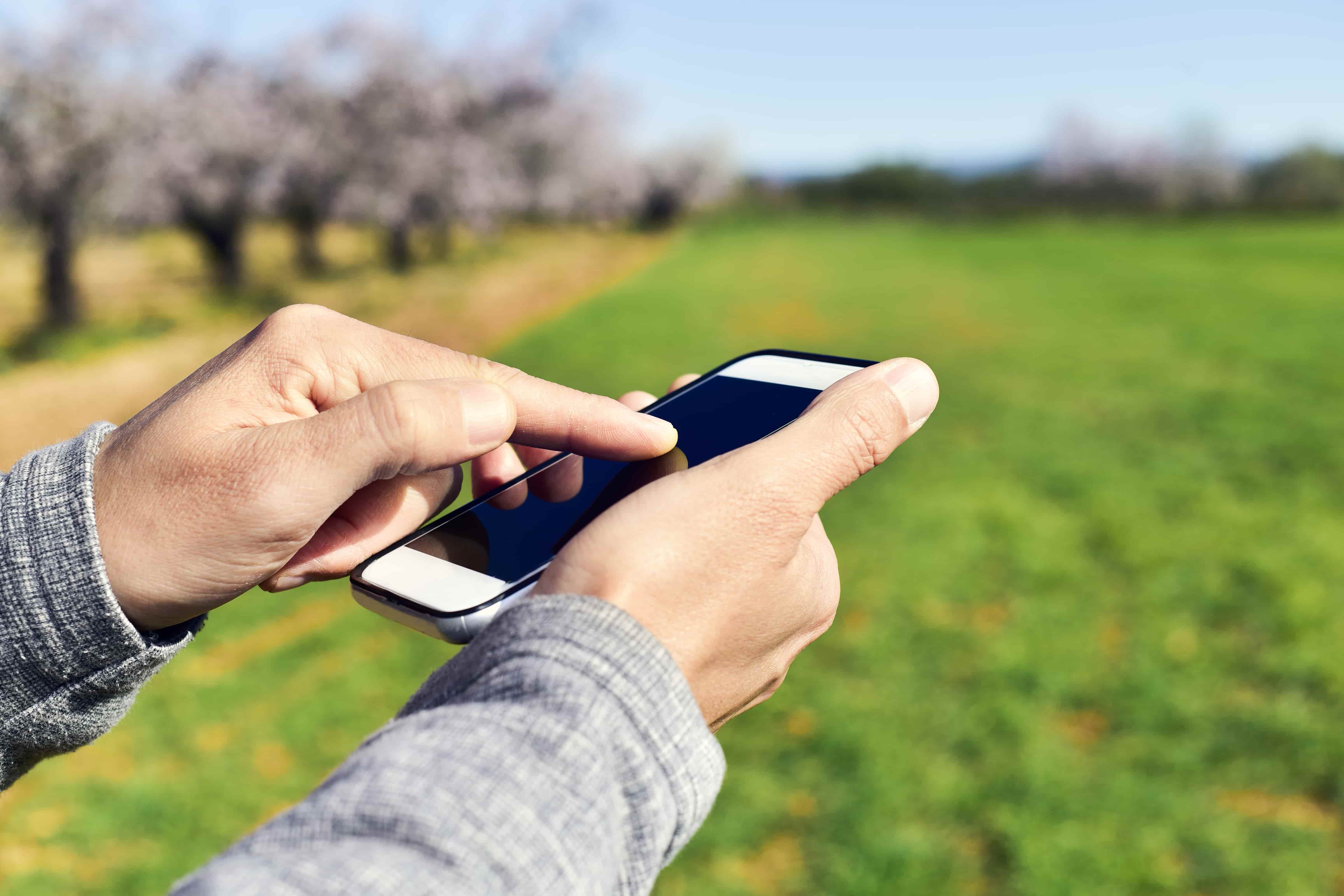 Phone in hand