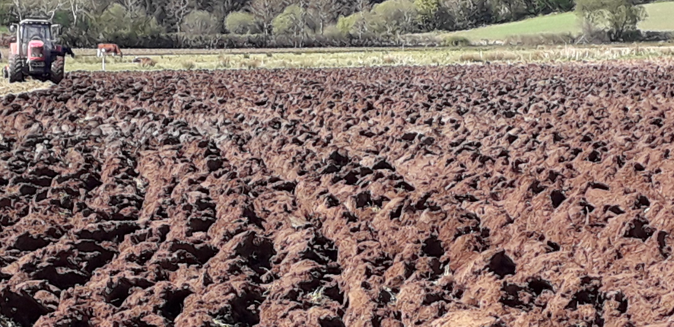 Ploughing spring 2020 .jpg