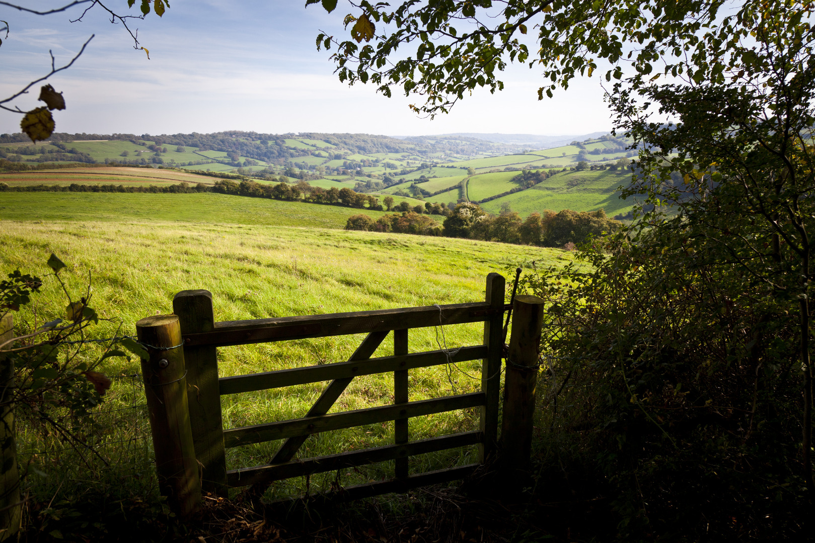 Land Trust Landscape 7
