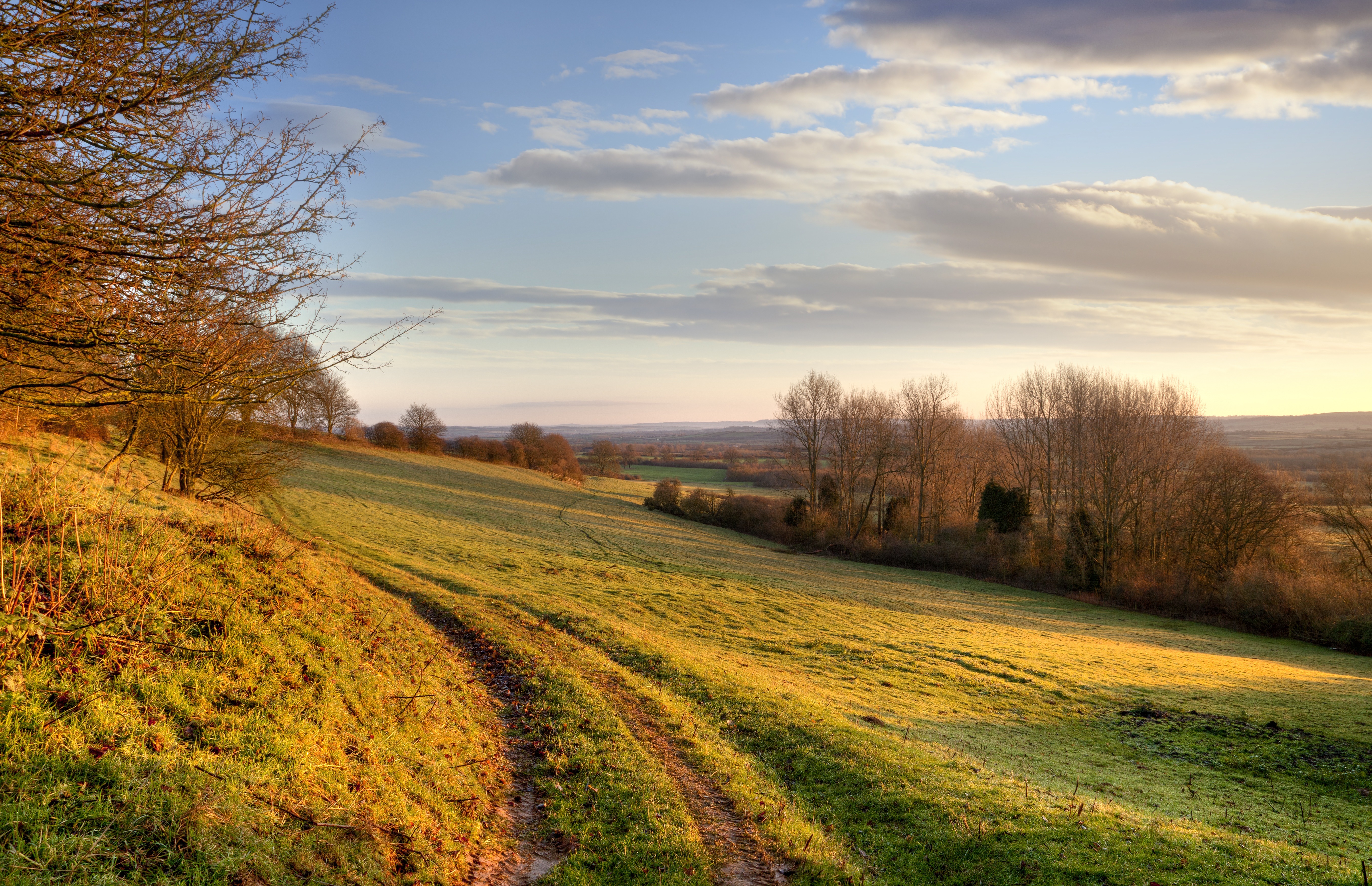 Land Trust Landscape 9