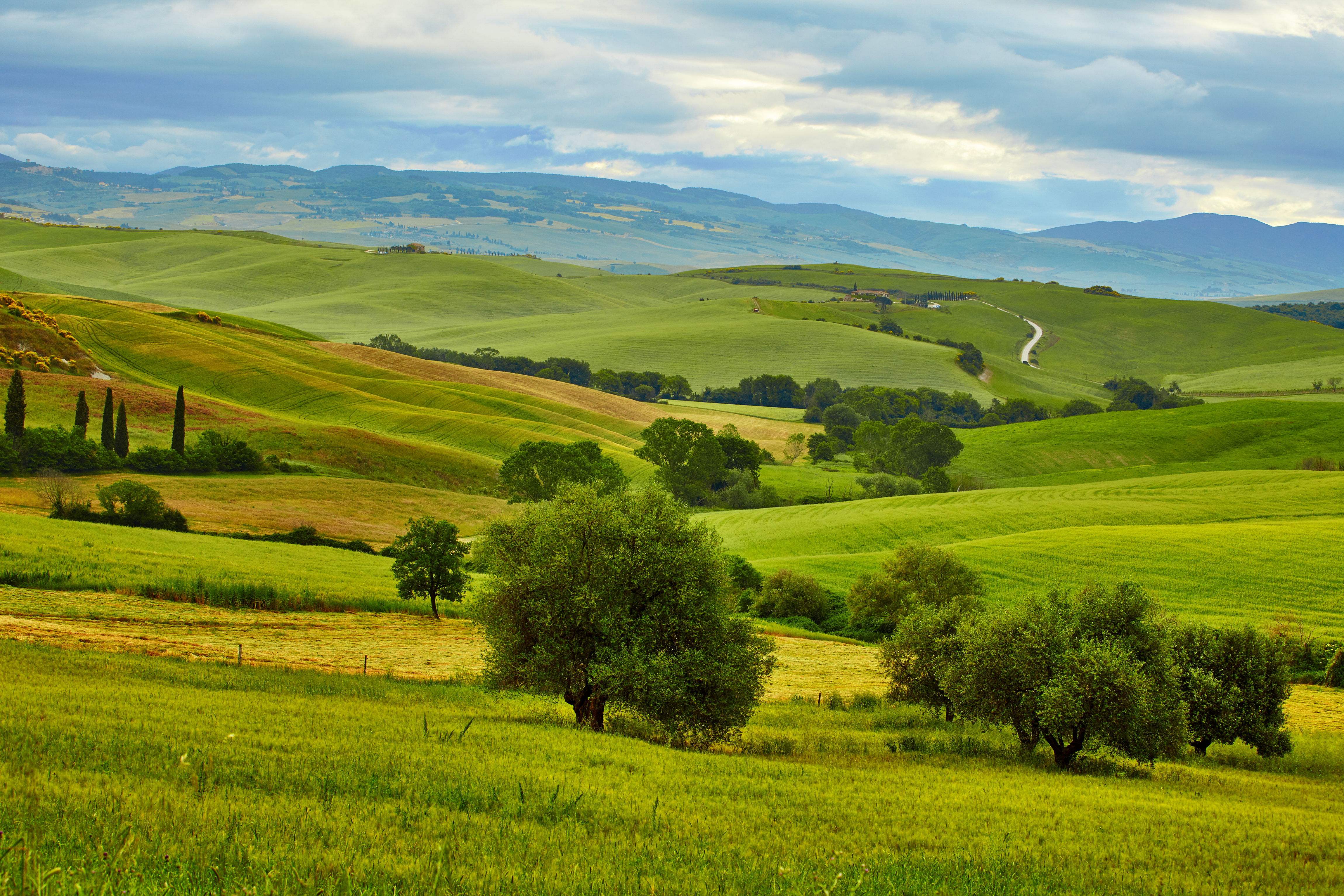 Land Trust Landscape 11
