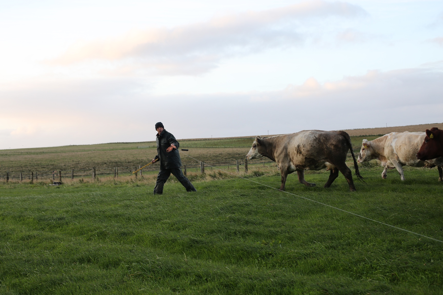 NewHollandFarm_72dpi19.JPG