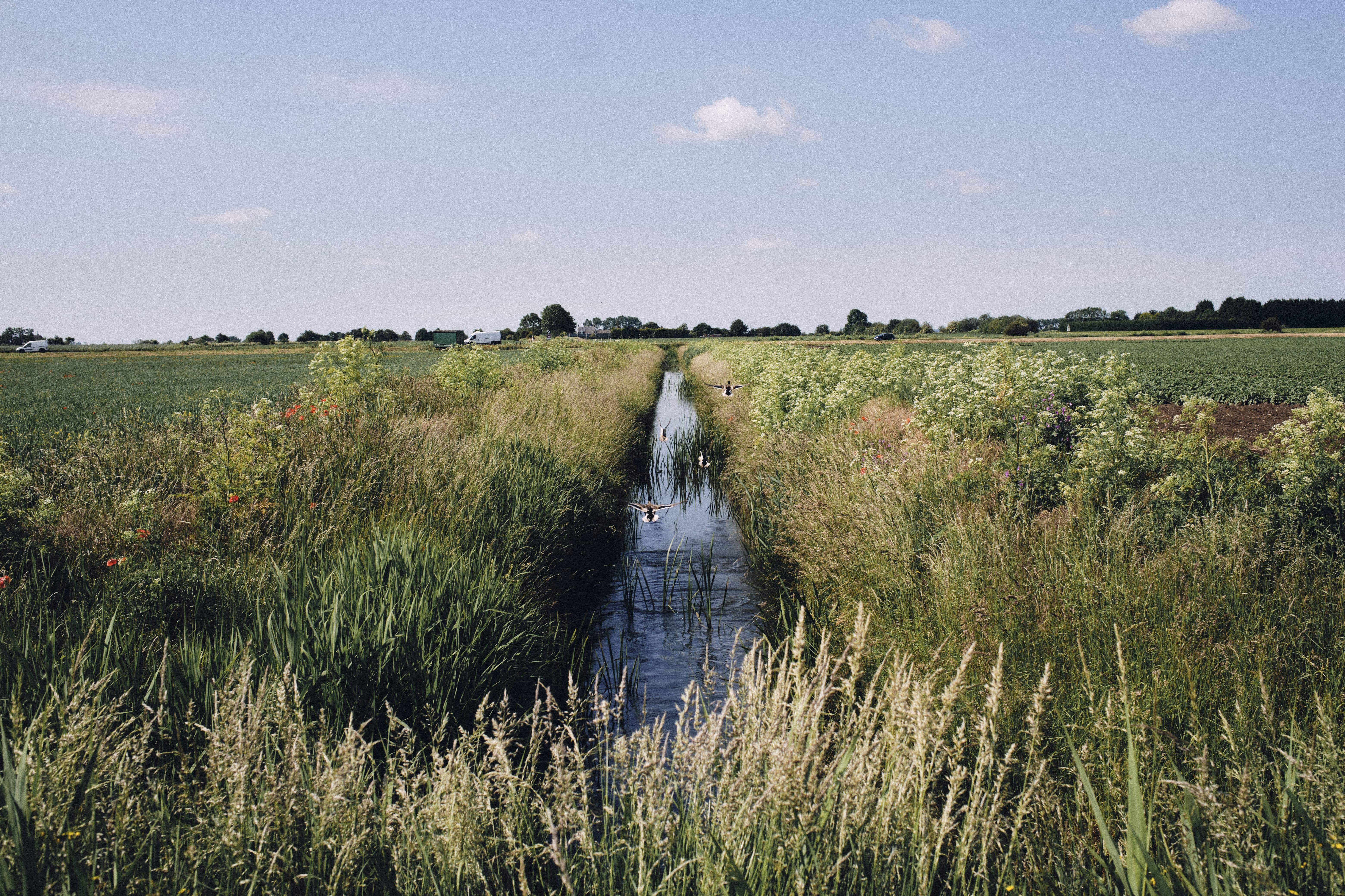 Regenerative Agriculture position statement