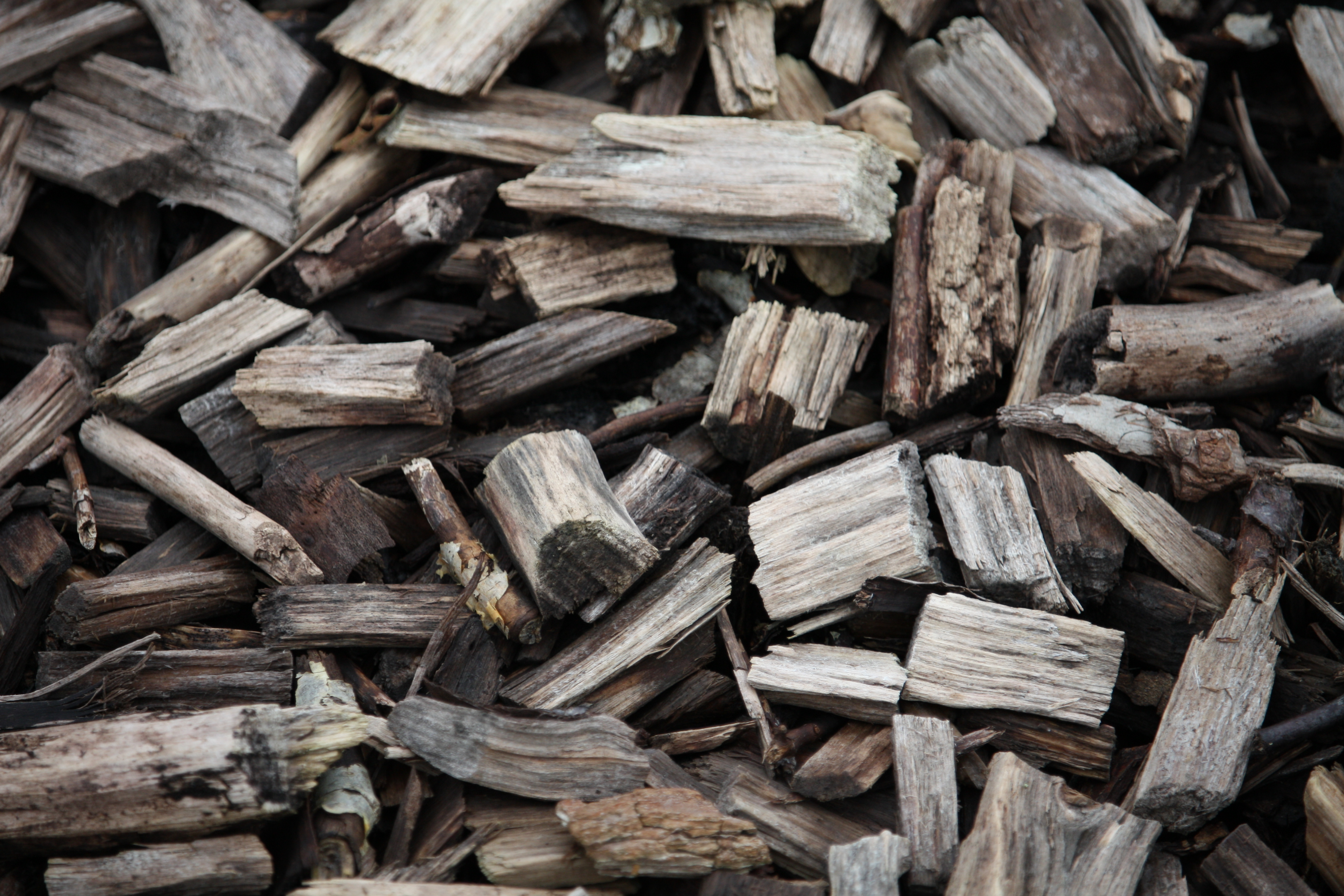 How to use woodchip as mulch.jpg