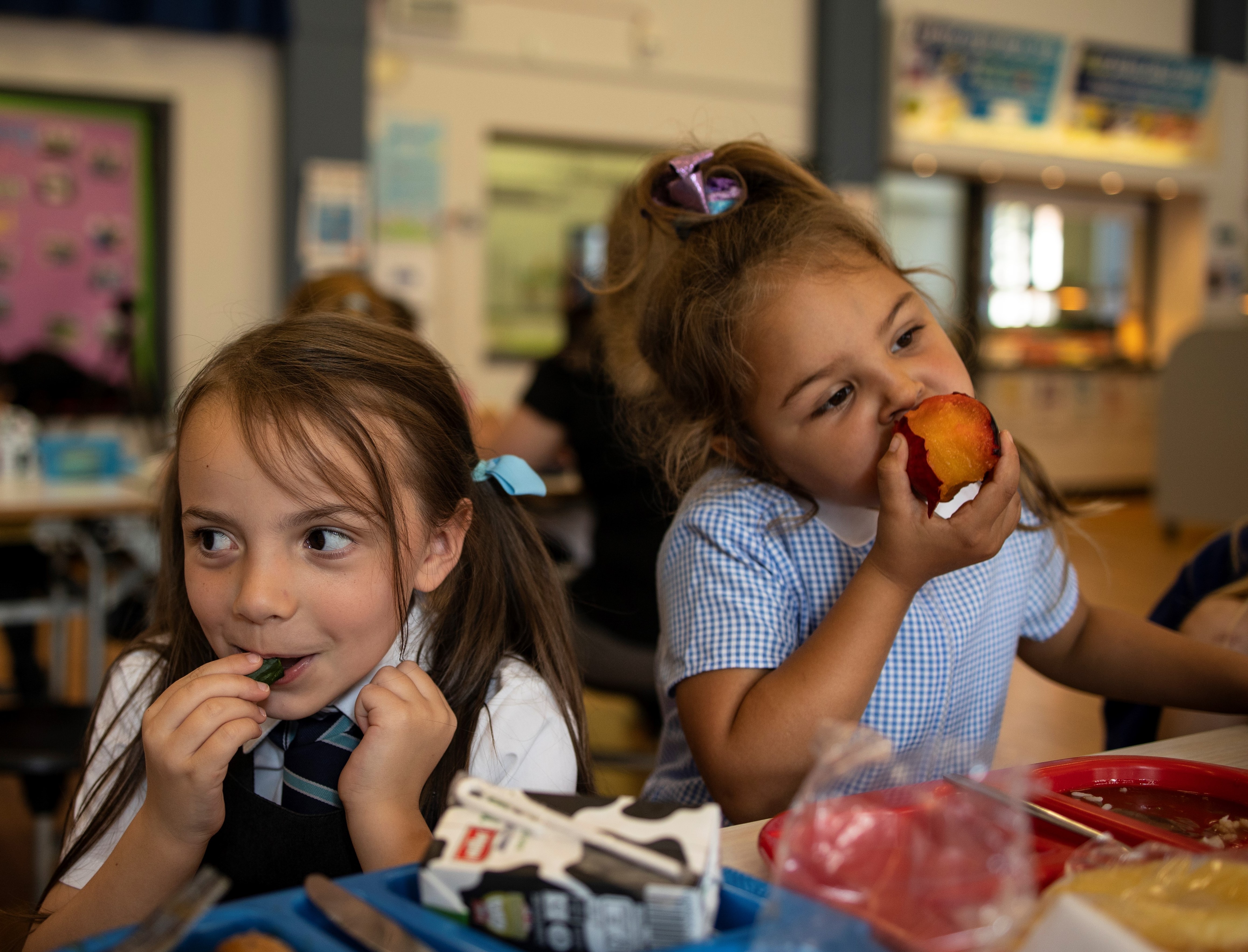 The key to healthy eating? Focus on food, not nutrients
