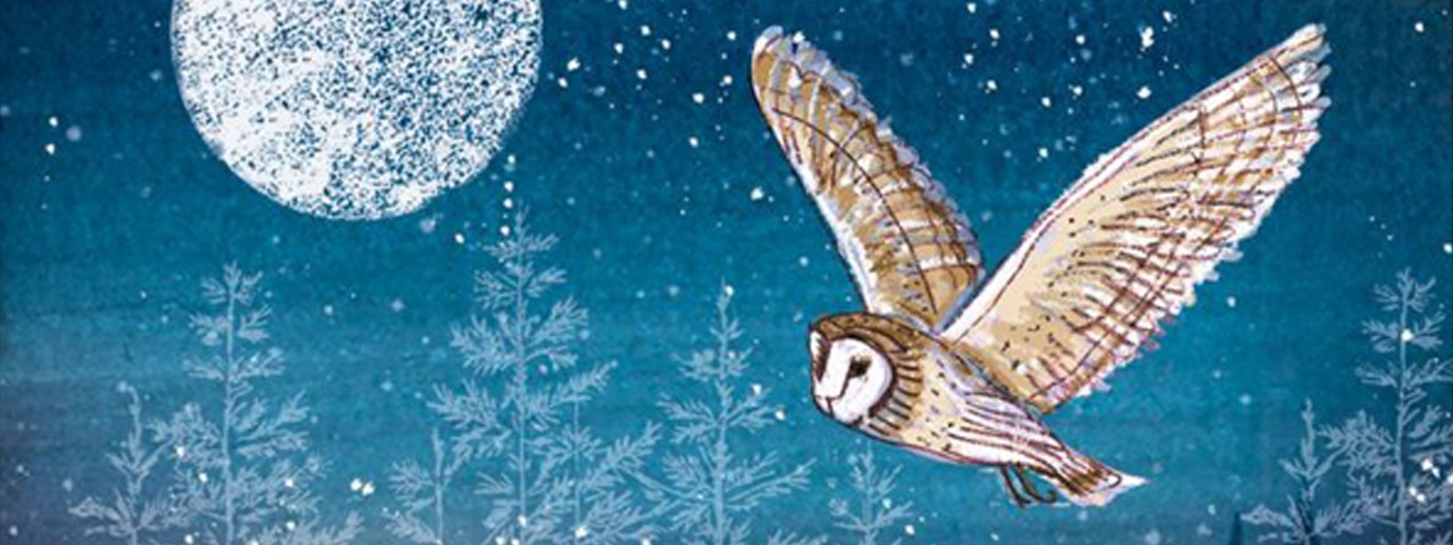 Banner image - Ethical shop owl.jpg