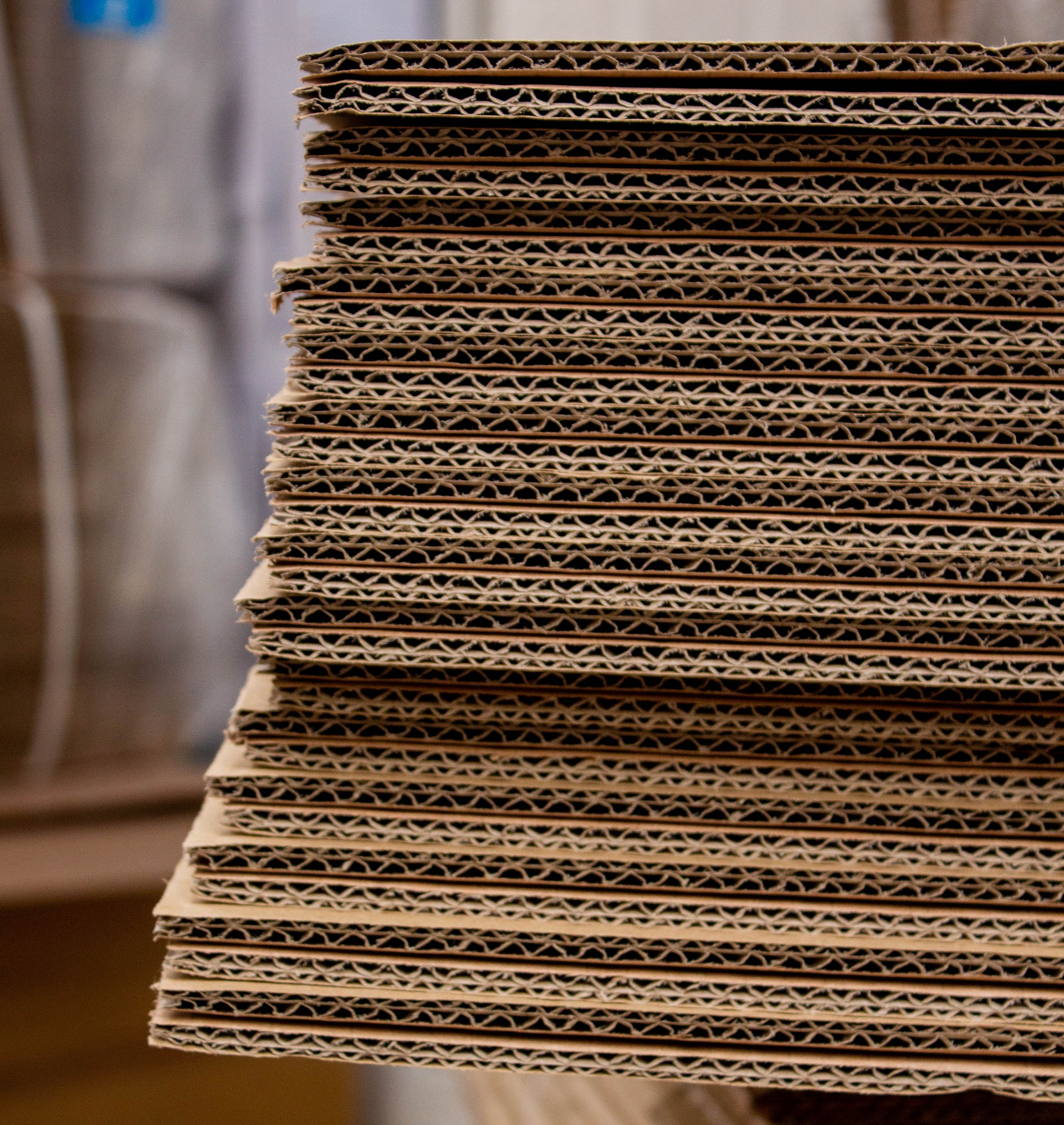 Sustainable packaging report: The case for paper 