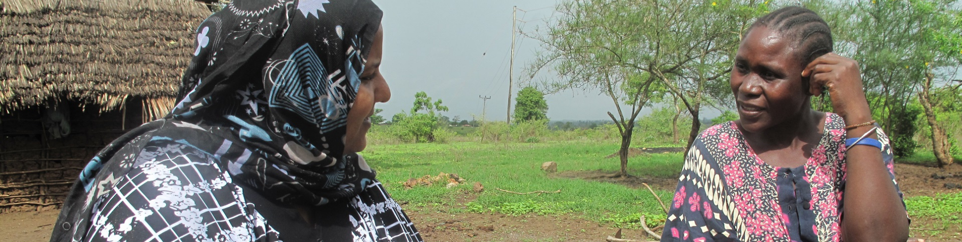 soil-association-certification-forestry-header-banner-kenya.png
