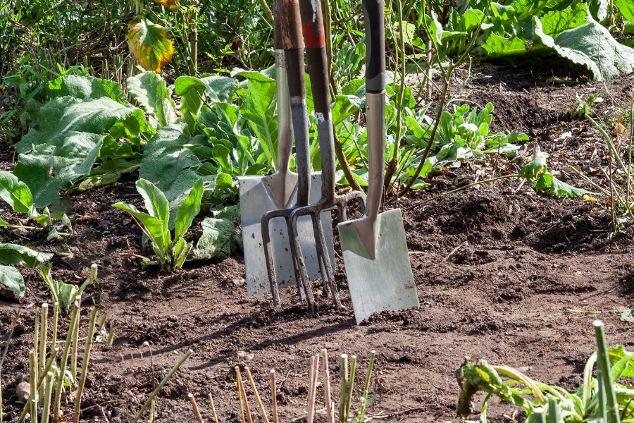 Gardening tools in an allotment