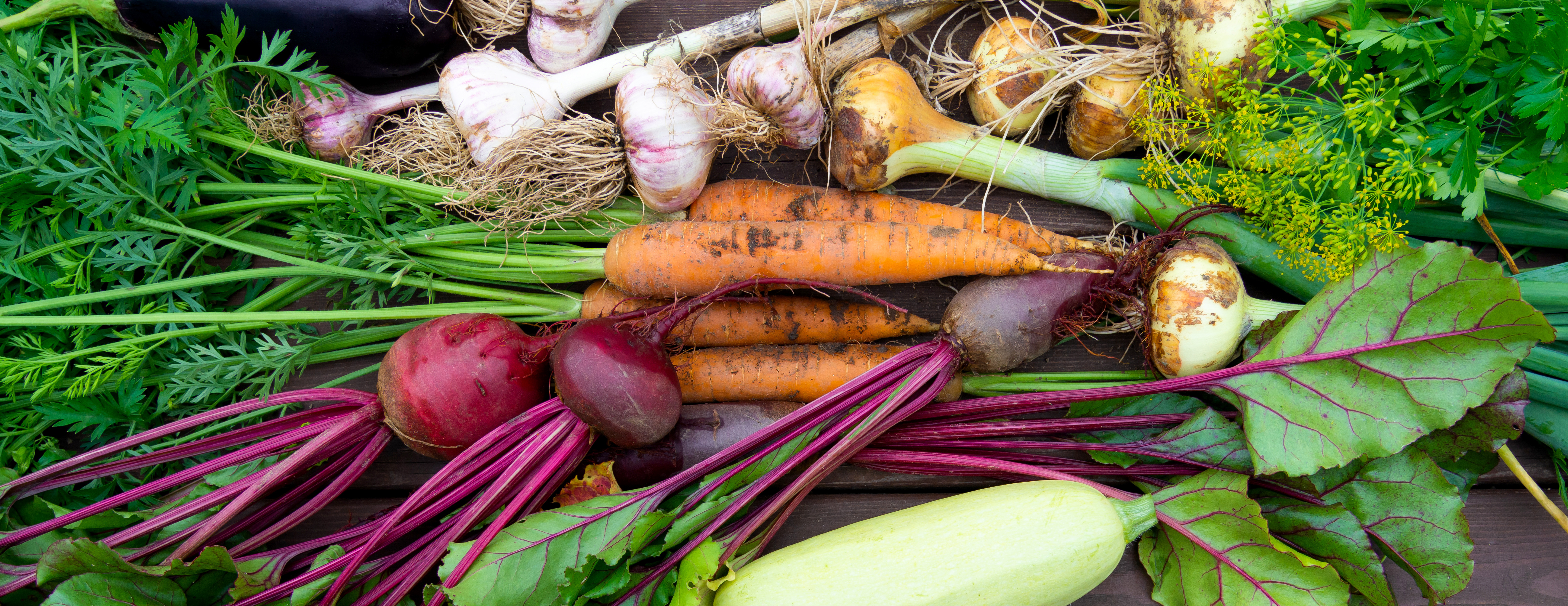 Veg close up.jpeg