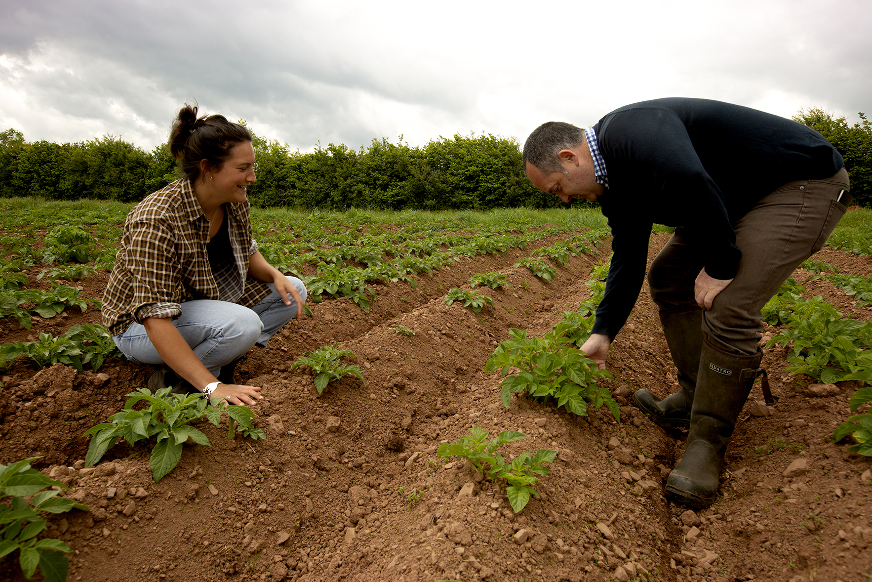 Preparing for your organic farm inspection