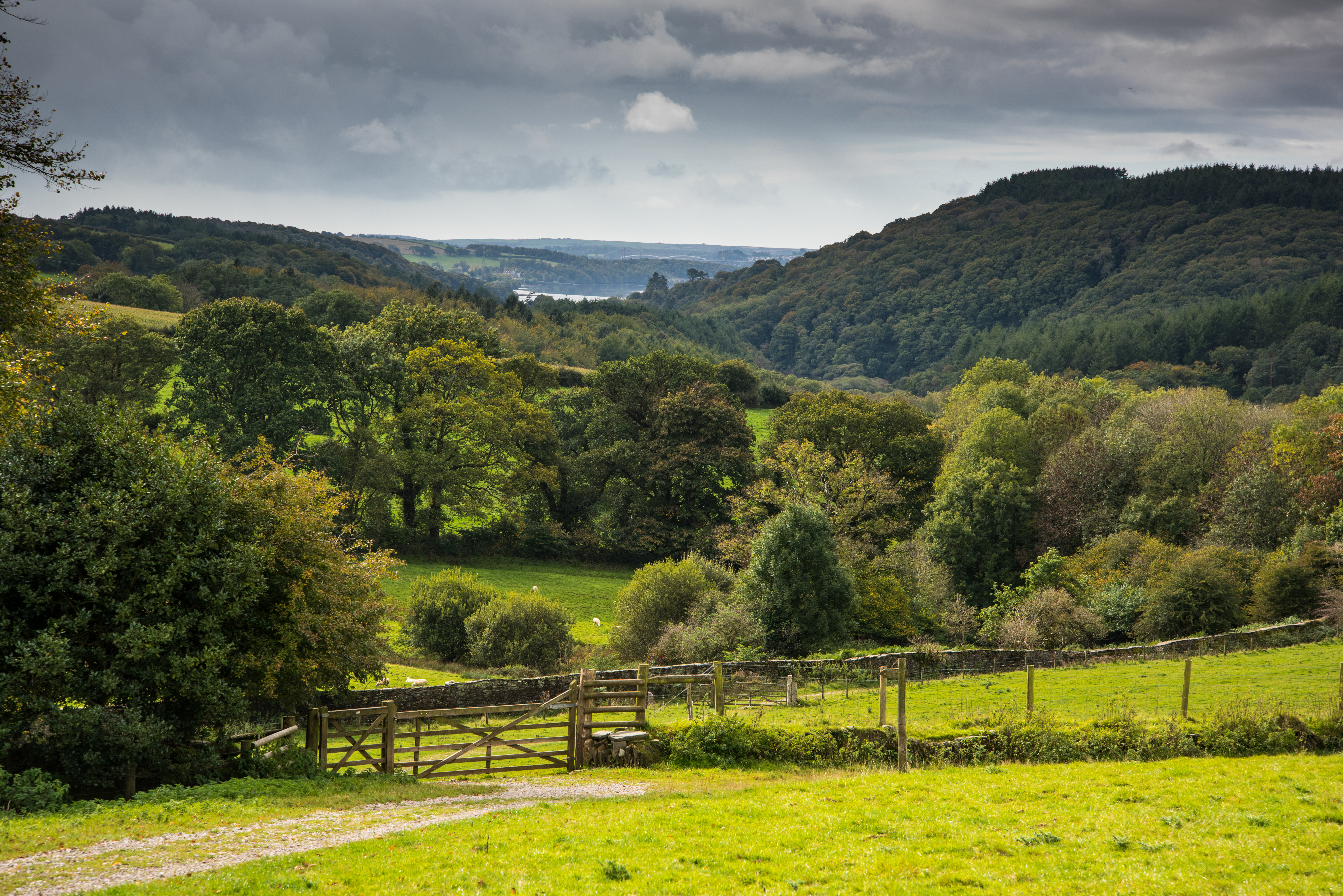 Countryside.jpg