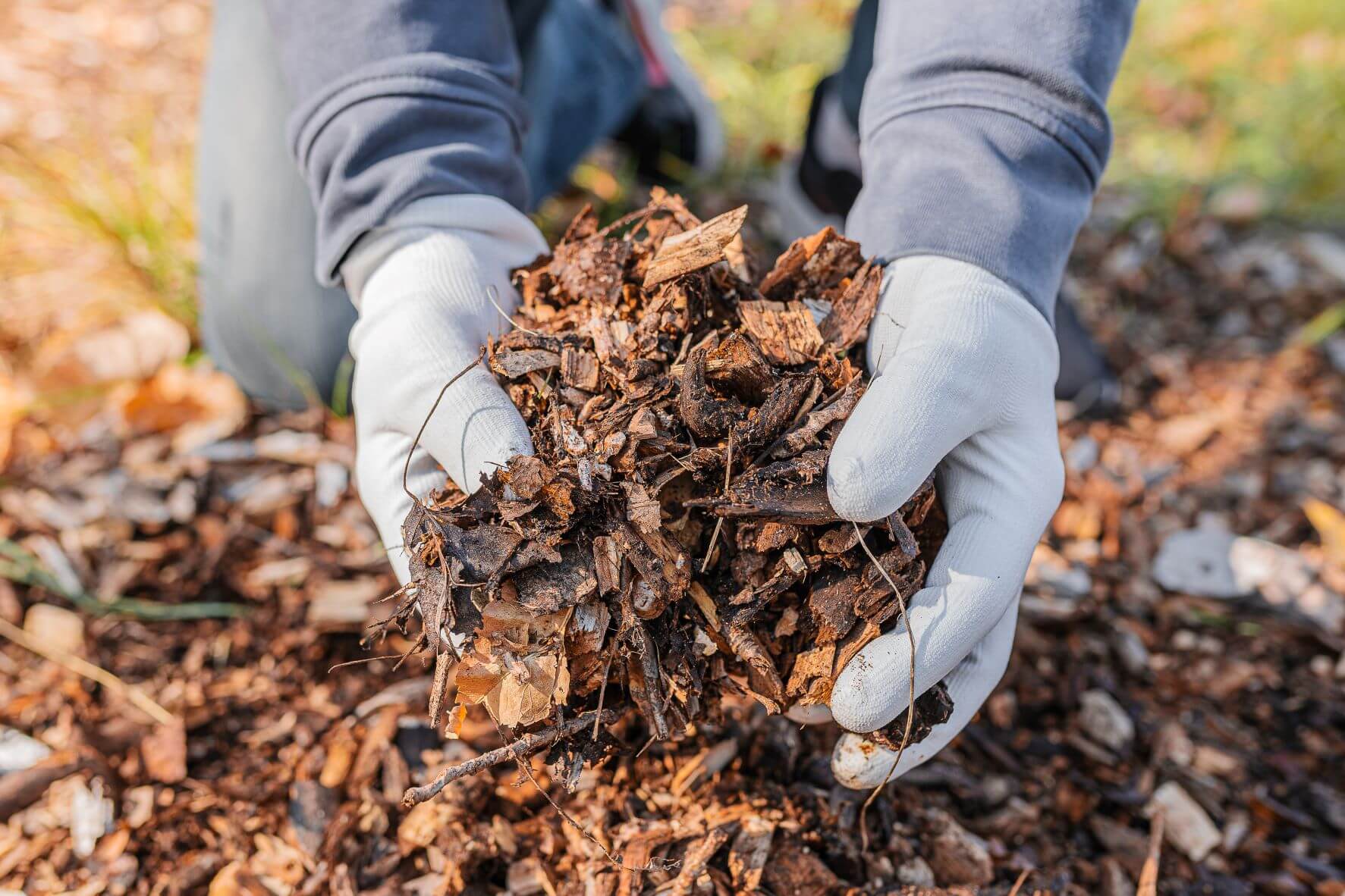 No-dig gardening 