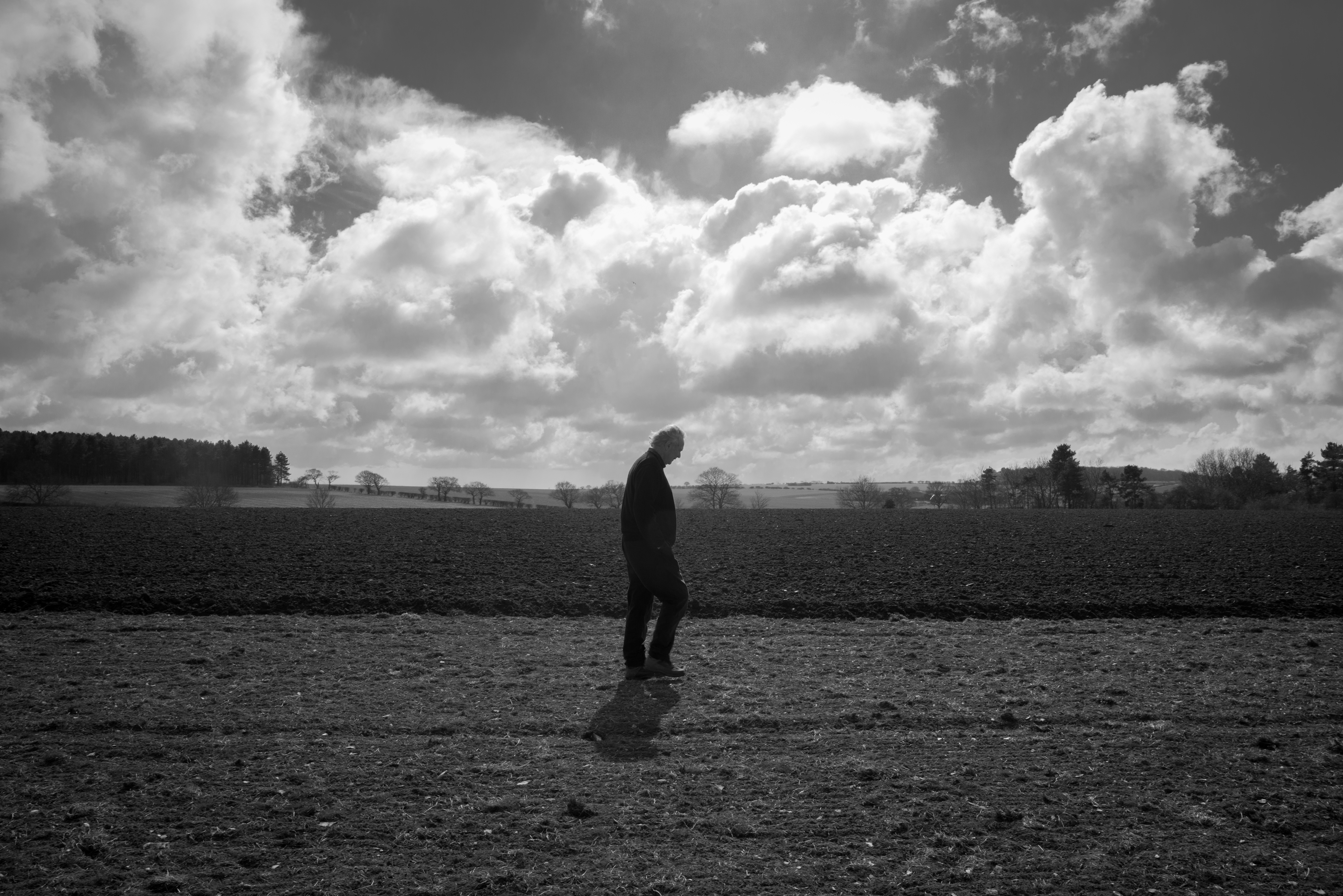 peter-102-Peter Melchett walking in a field-organic-Courtyard Farm-noexpiry-credit Georgina Rose Thomas.jpg