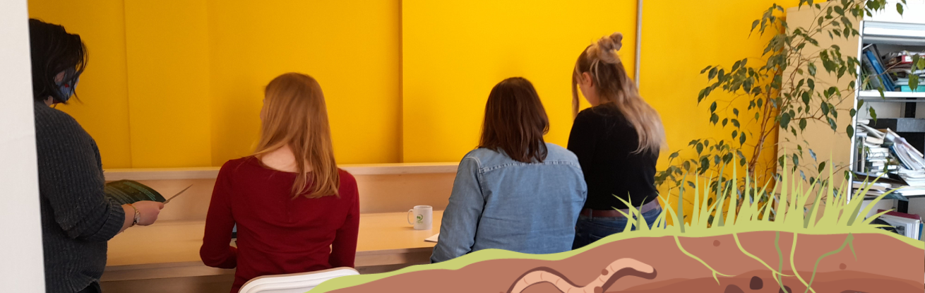 our strategy banner (1).png