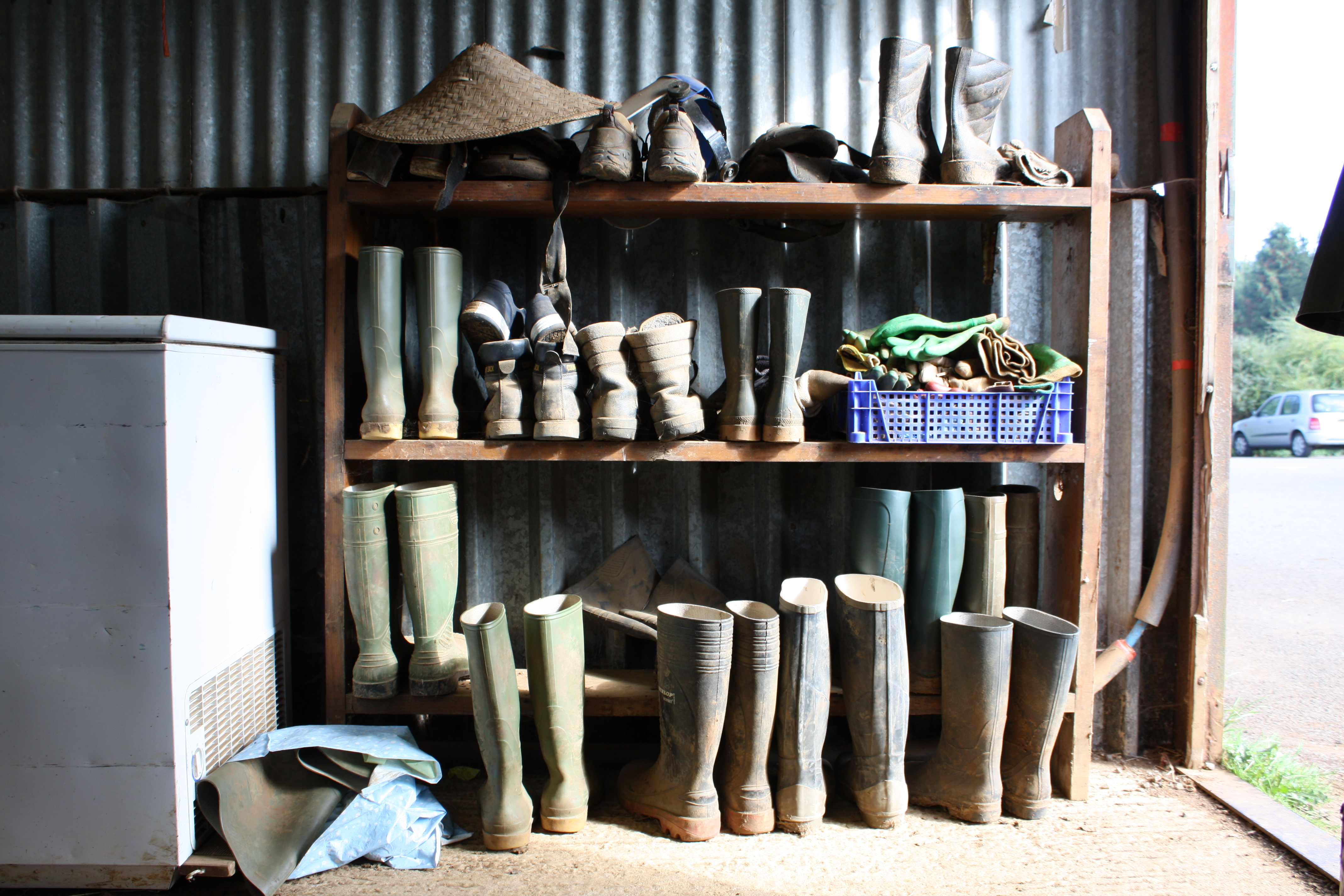 Wellies and shoes on rack