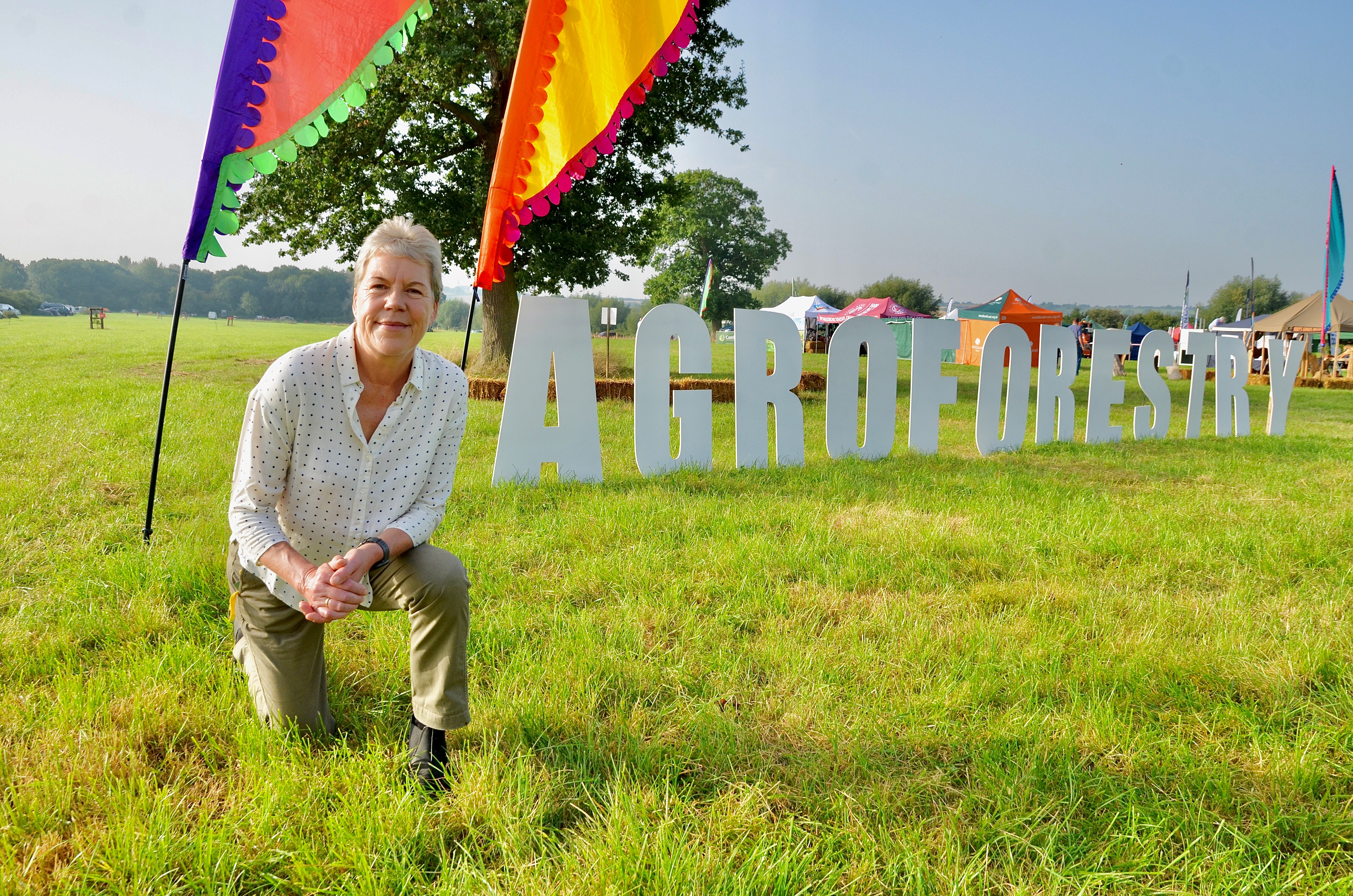 British farms need more trees – consensus among a thousand farmers and foresters (1)