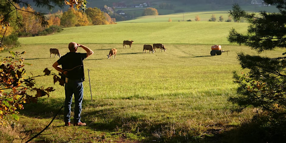 Future proof your farm: farm payments and resources