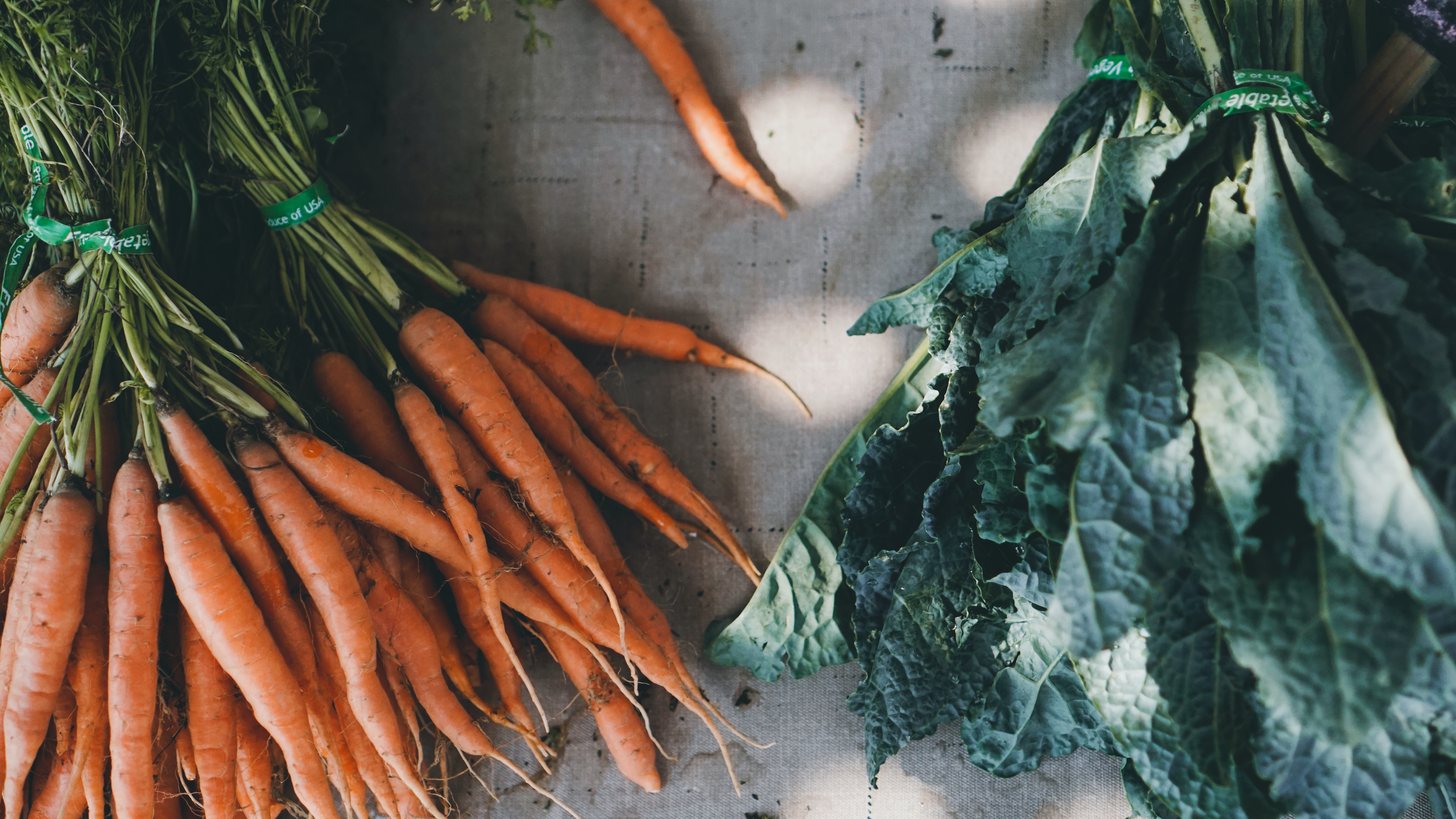 Soil Association invites Northern Ireland food and farming sector to help shape future organic standards