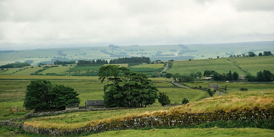 broom park farms.jpg (1)