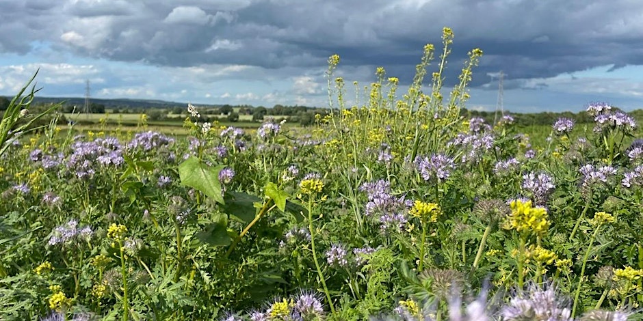 soil assoc-field hall farm.jpg
