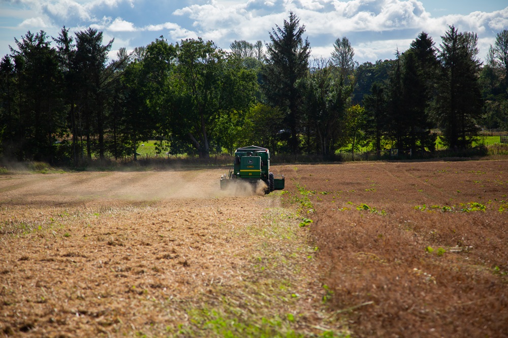 Combine harvester at Balmakewan Farm Sept 2024 web.jpg