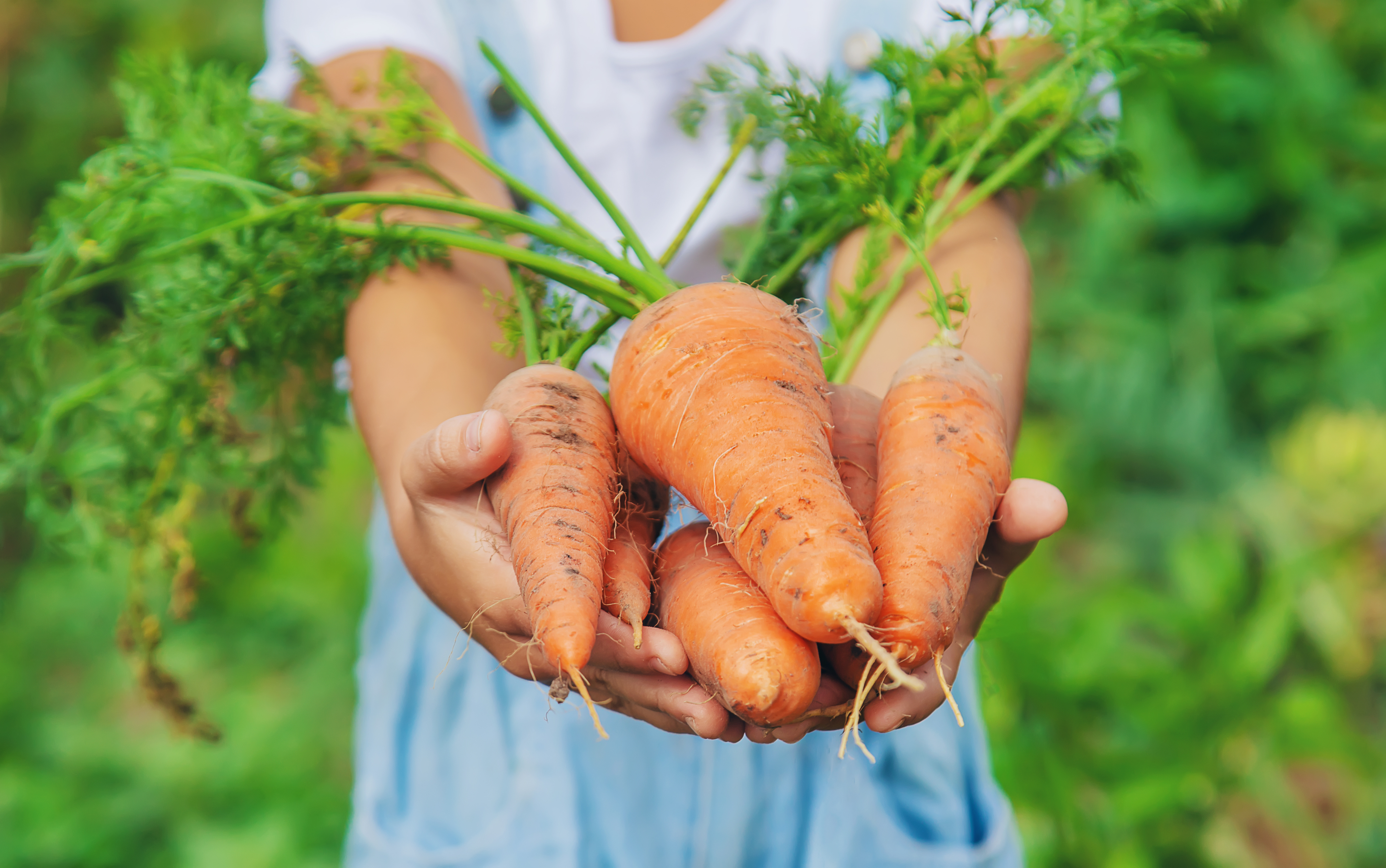 Act now to fix our broken food system