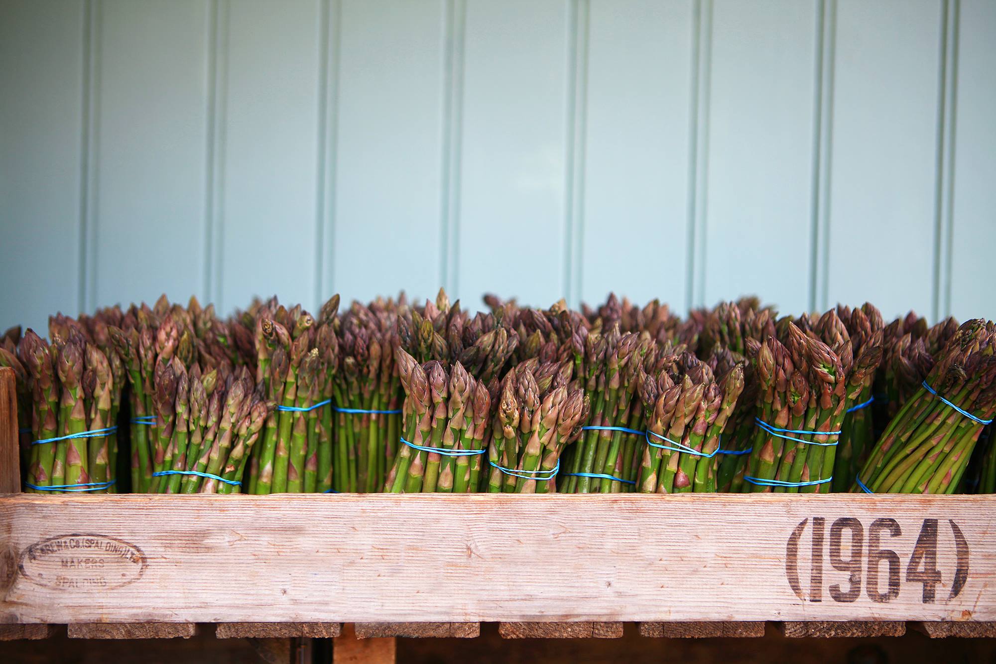 Support for certified organic businesses 