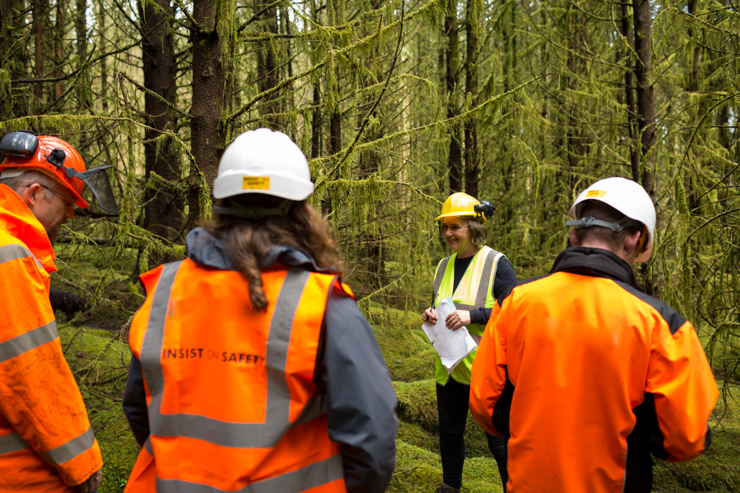 SA_ForestryAudit2015.09-131.jpg