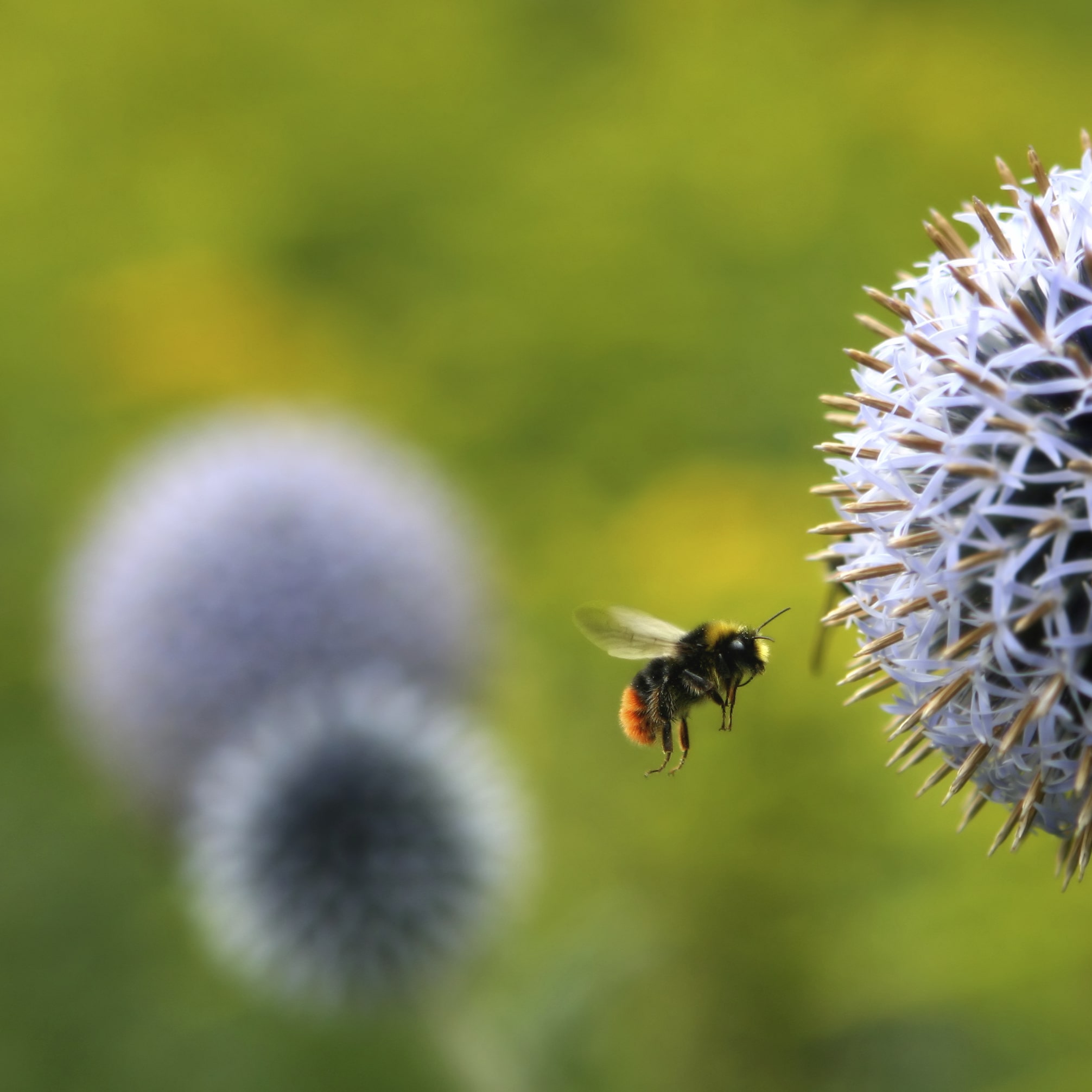 iStock_000000745159_Medium.jpg