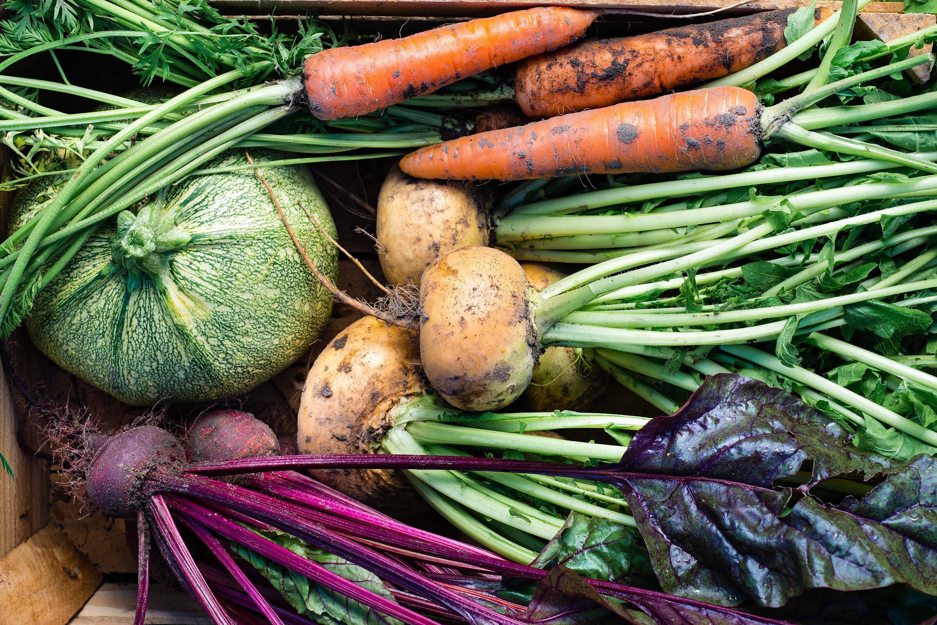 Government commitment to UK farmers must include fruit and veg growers and organic