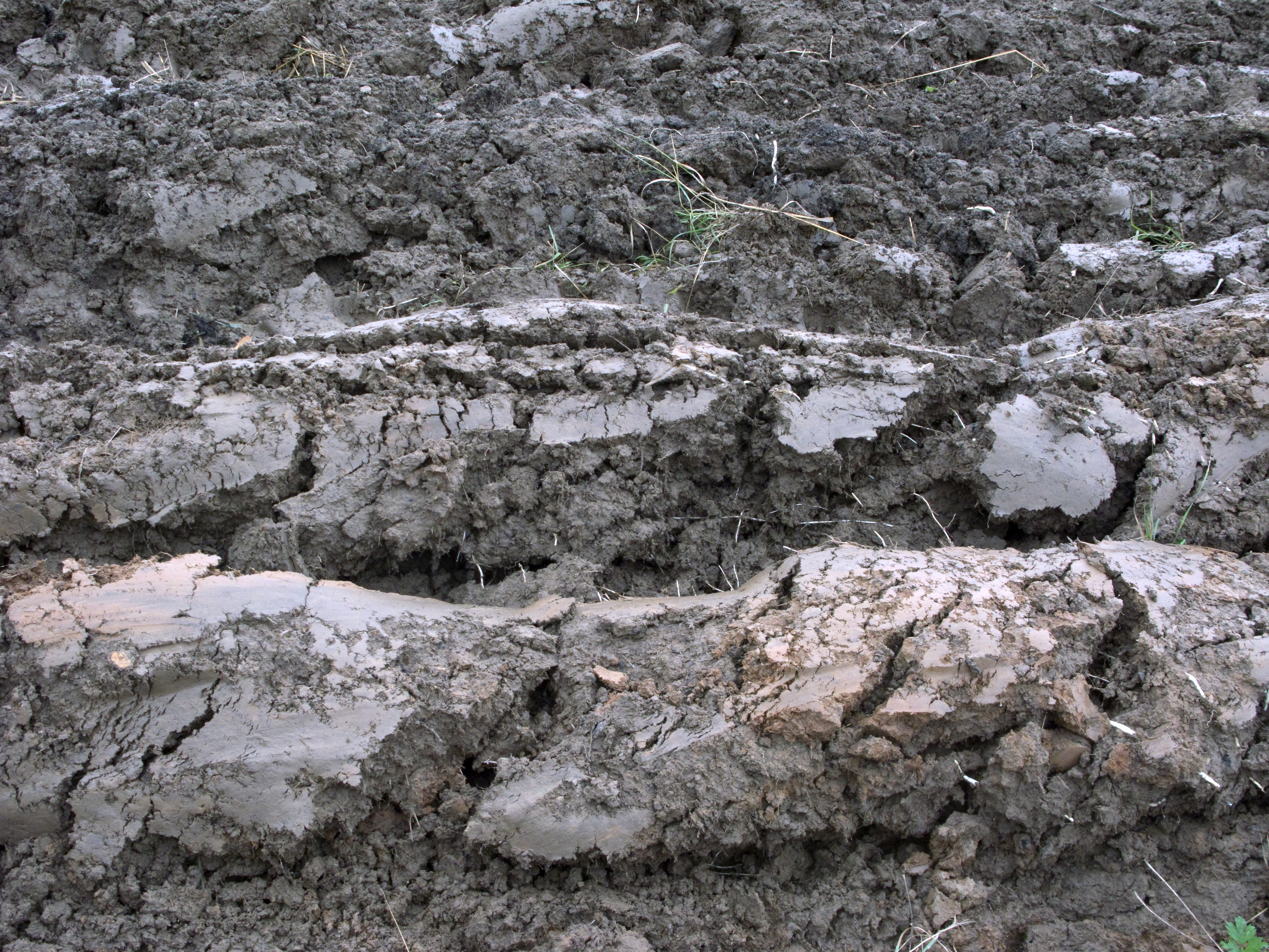 Wet and broken soil.jpg