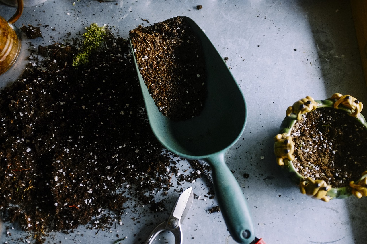 Soil-saving plants you can grow at home