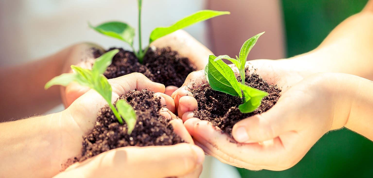 soil and plants in hands - website, light.jpg
